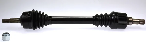 Poloosa