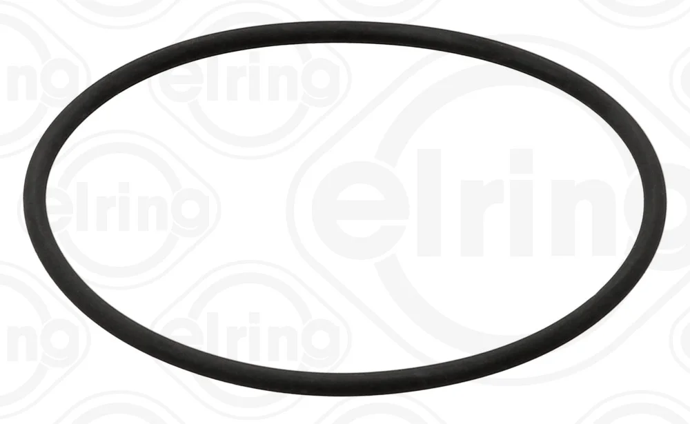 Těsnicí Kroužek, palivové čerpadlo