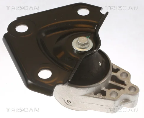 8505 10136 - TRISCAN