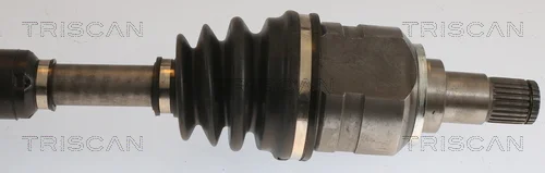 8540 13567 - TRISCAN