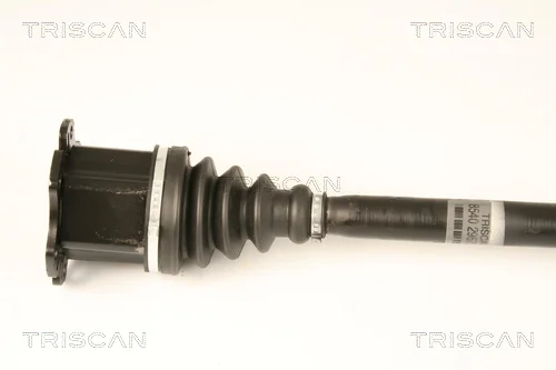 8540 29679 - TRISCAN