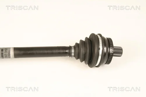 8540 29679 - TRISCAN