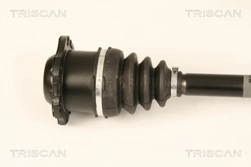 8540 29681 - TRISCAN