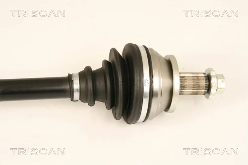 8540 29681 - TRISCAN