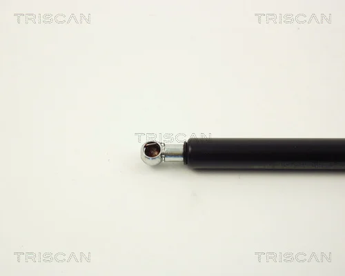 8710 11214 - TRISCAN