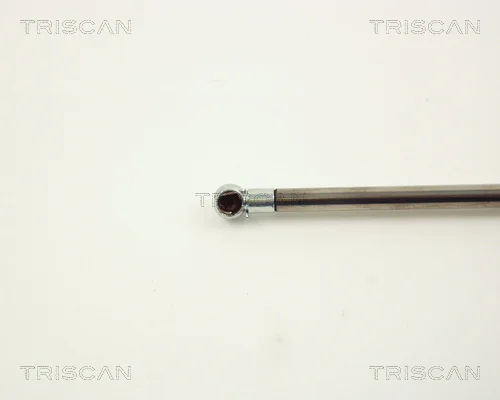8710 11214 - TRISCAN