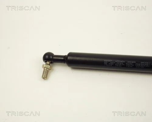 8710 13205 - TRISCAN