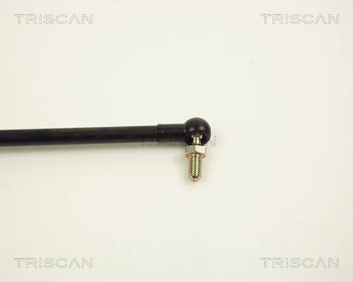 8710 13205 - TRISCAN