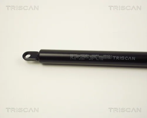 8710 2704 - TRISCAN
