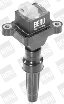 ZS346 - BorgWarner (BERU)
