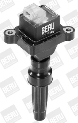 ZS346 - BorgWarner (BERU)