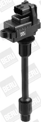 ZSE073 - BorgWarner (BERU)