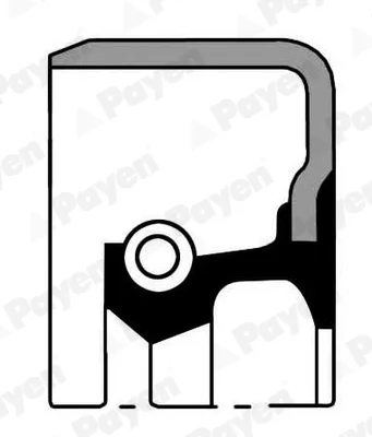 Těsnicí kroužek hřídele, hřídel převodovky