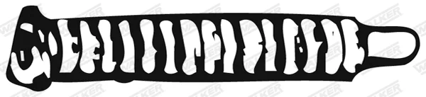 Vlnovec, výfukový systém