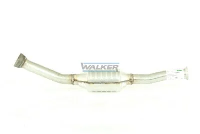 20091 - WALKER