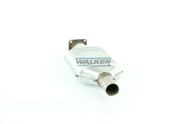20125 - WALKER