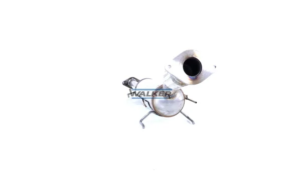 73166 - WALKER