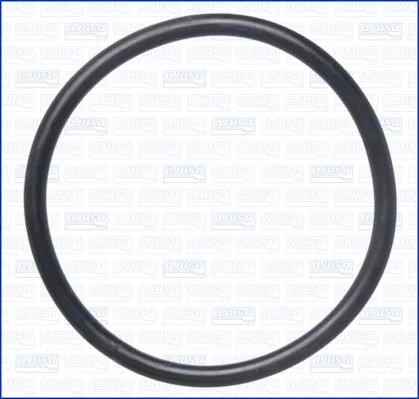 Těsnicí kroužek, hadice sání-kryt vzduchového filtru