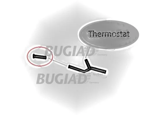 88697 - BUGIAD