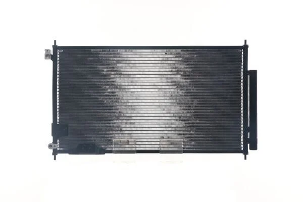 AC 826 000S - MAHLE