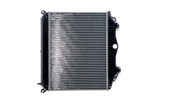 CI 123 000P - MAHLE