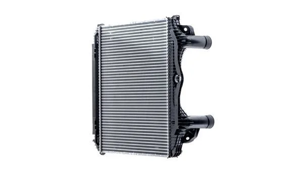 CI 123 000P - MAHLE