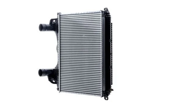 CI 123 000P - MAHLE