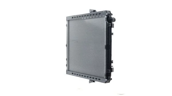 CR 865 000P - MAHLE
