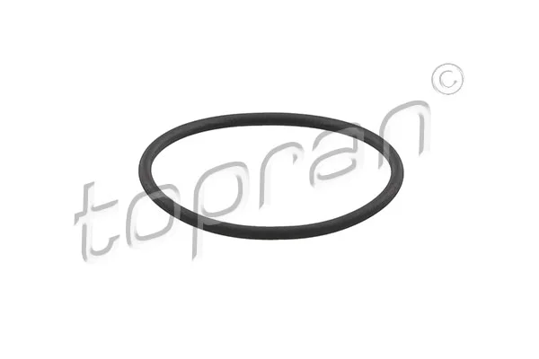 Těsnění, palivové čerpadlo