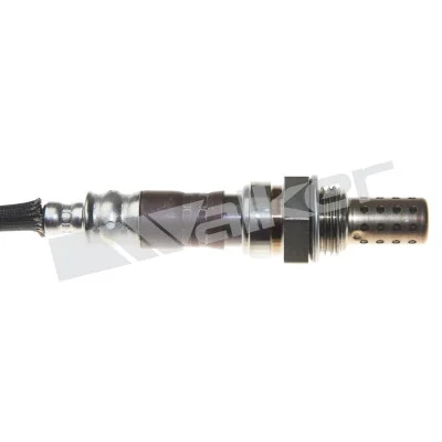 250-24519 - WALKER PRODUCTS