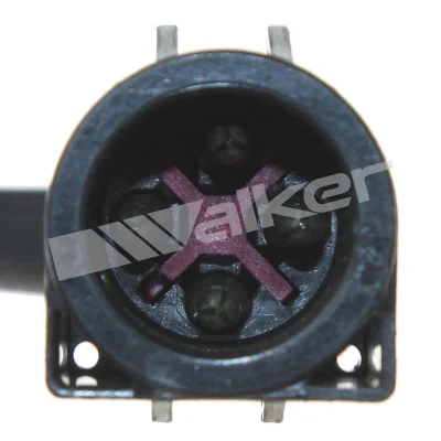250-24519 - WALKER PRODUCTS