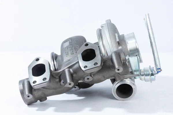 13879980064 - BorgWarner