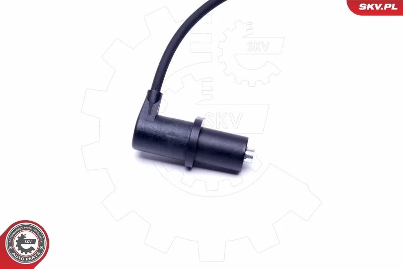 17SKV491 - ESEN SKV