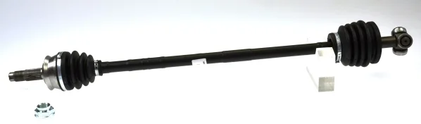 Poloosa