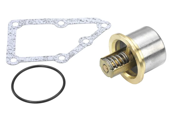 410828.86D - BorgWarner (Wahler)